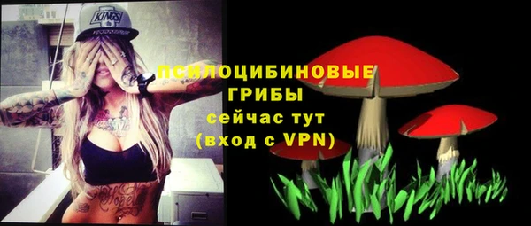 ECSTASY Абинск