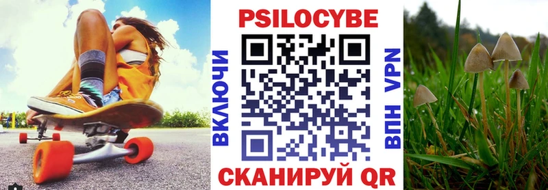 Псилоцибиновые грибы прущие грибы Дербент