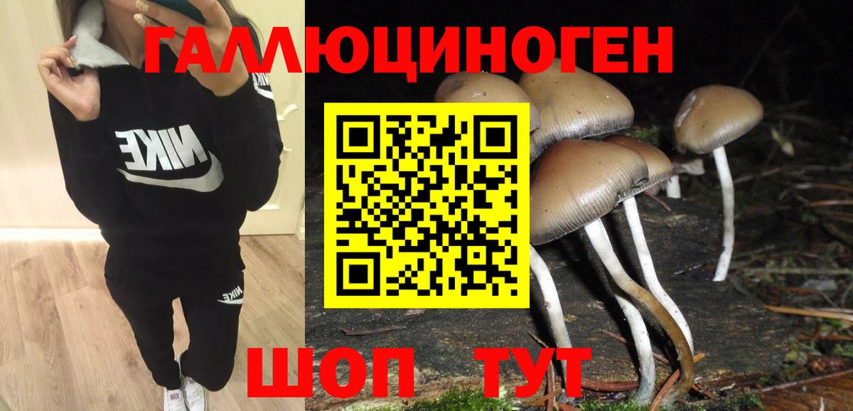 Галлюциногенные грибы MAGIC MUSHROOMS  Вход с VPN  Дербент 